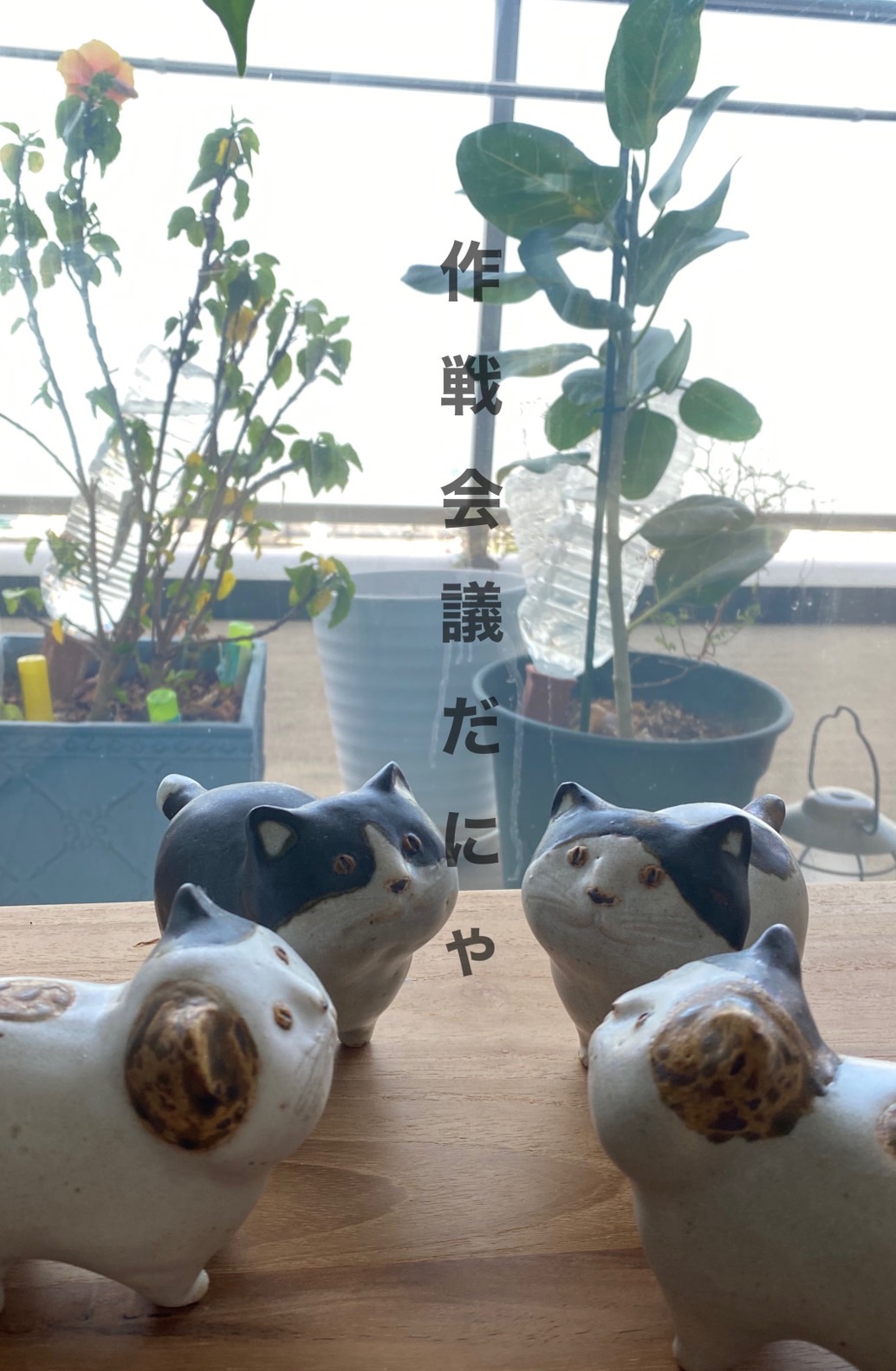 空き家を放置していませんか？今こそ売却のチャンスです！