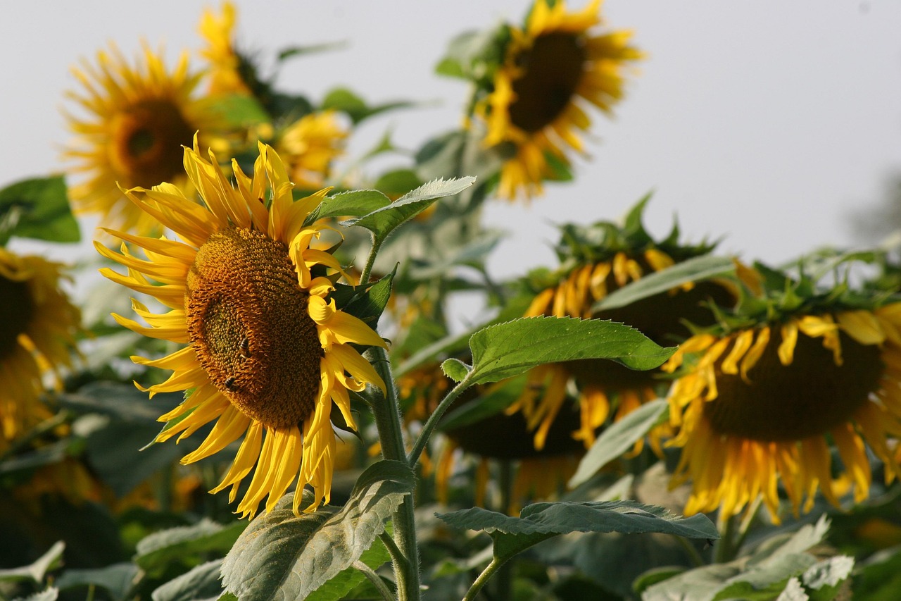 7. まずは相談を！お悩み解決へ一歩を踏み出そう