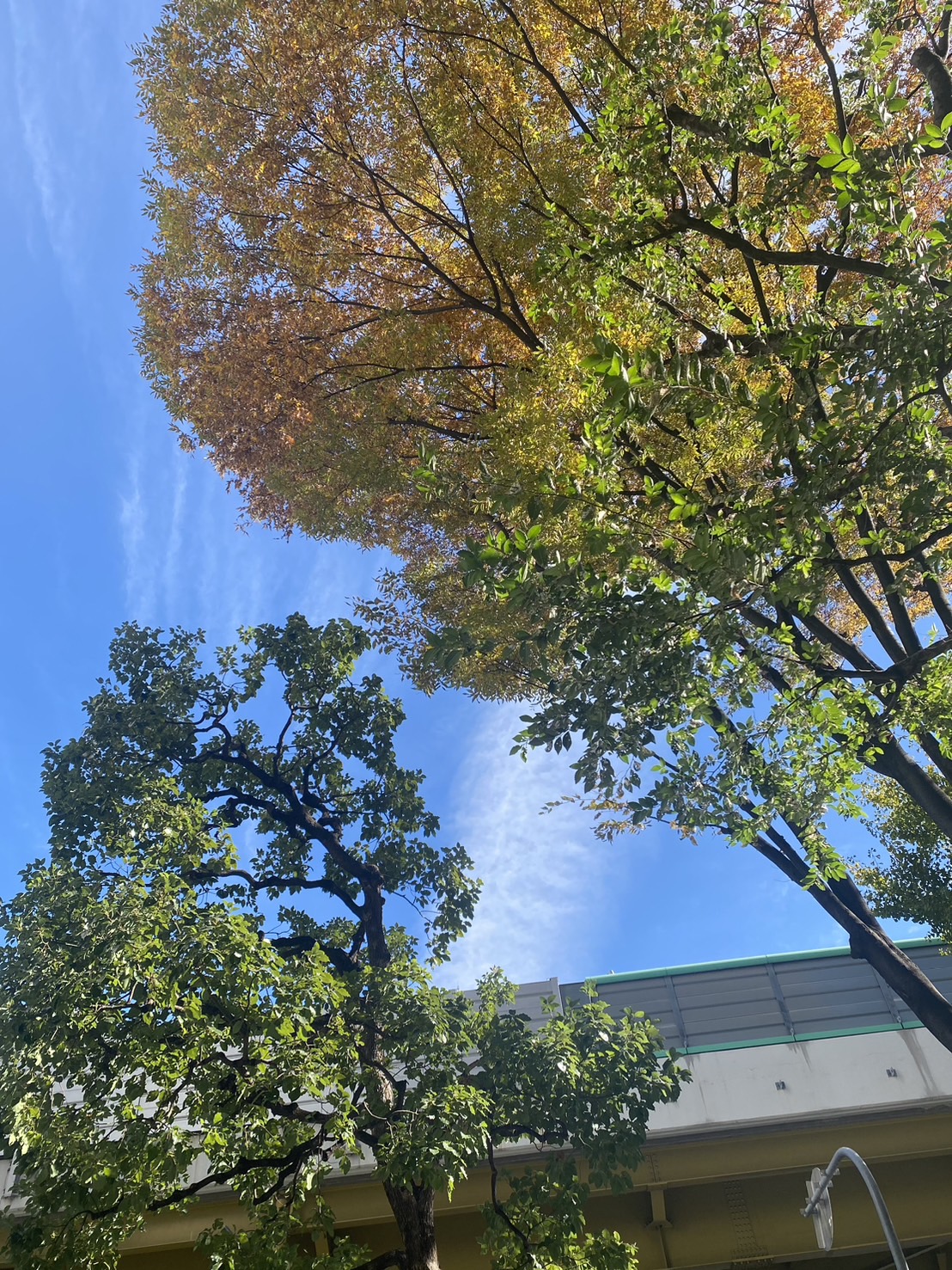 今すぐ相談しよう！