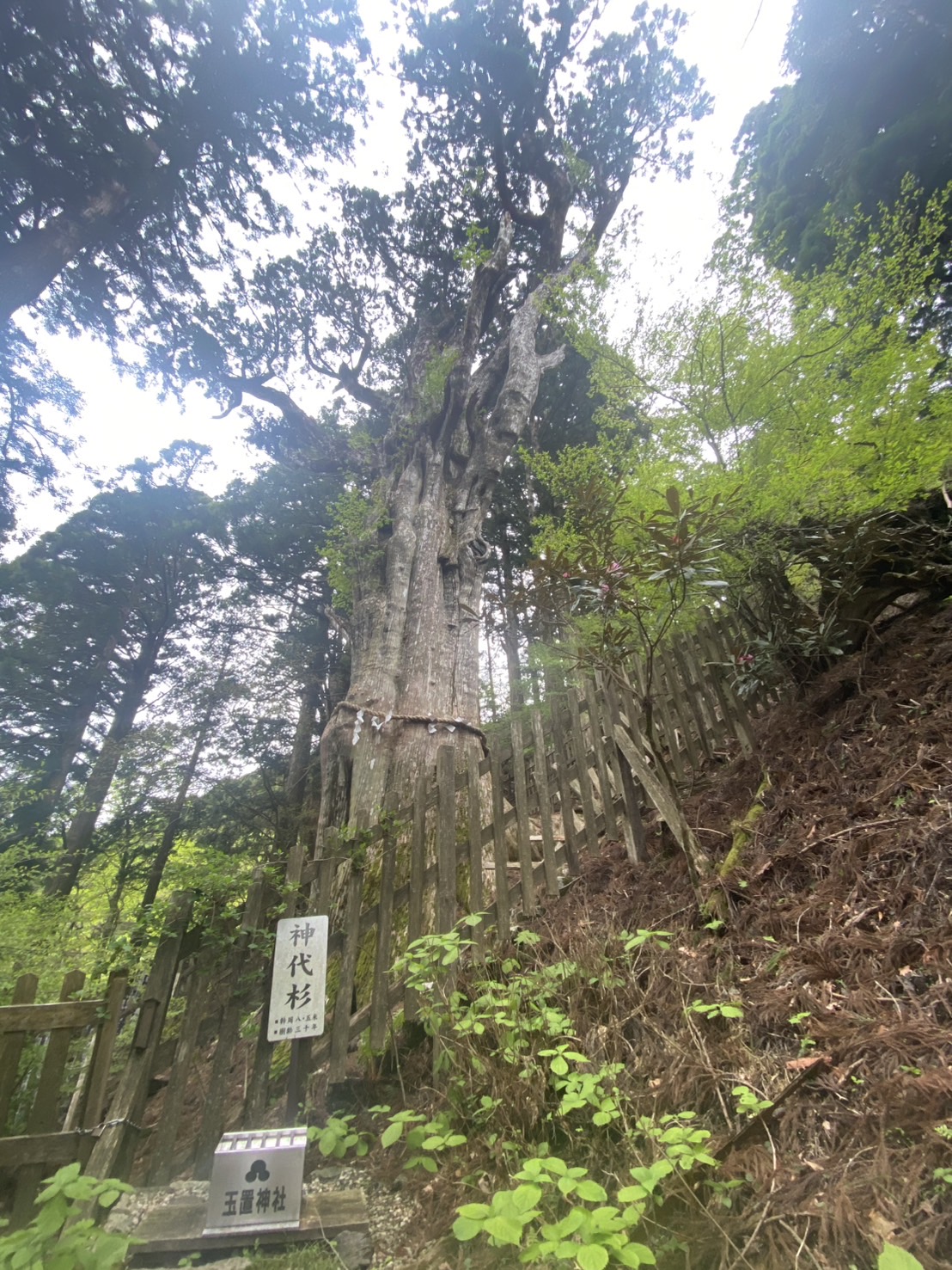 2. 魅力的なプロモーションを実施する